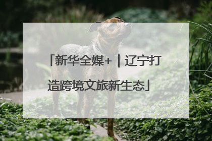 新华全媒+｜辽宁打造跨境文旅新生态
