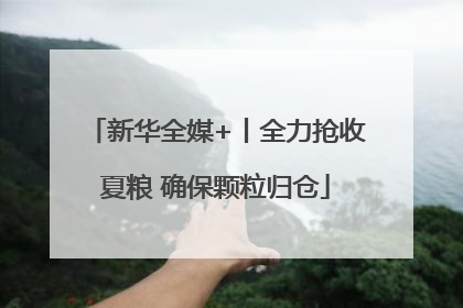 新华全媒+丨全力抢收夏粮 确保颗粒归仓