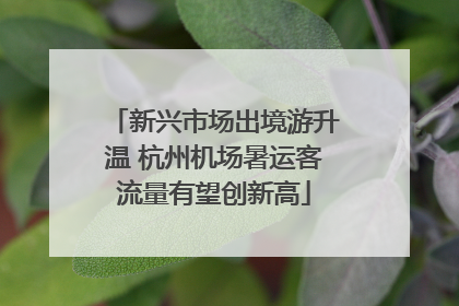 新兴市场出境游升温 杭州机场暑运客流量有望创新高