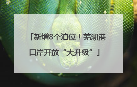 新增8个泊位！芜湖港口岸开放“大升级”