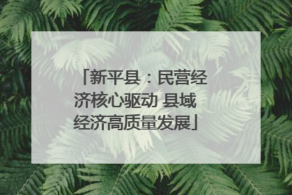 新平县：民营经济核心驱动 县域经济高质量发展