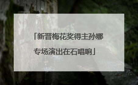 新晋梅花奖得主孙娜专场演出在石唱响