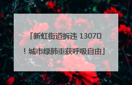 新虹街道拆违 1307㎡！城市绿肺重获呼吸自由