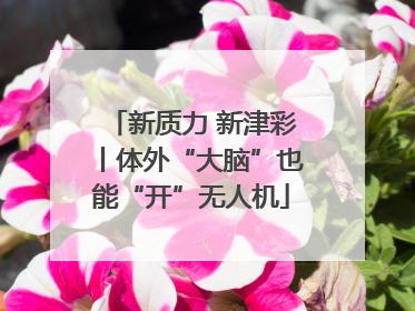 新质力 新津彩丨体外“大脑”也能“开”无人机