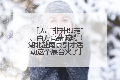 无“非升即走”、百万高薪诚聘！湖北赴南京引才活动这个展台火了