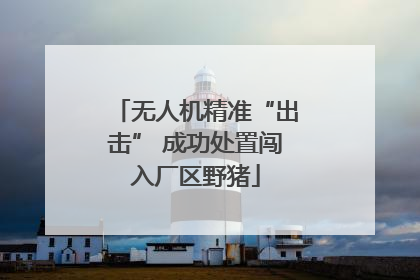 无人机精准“出击” 成功处置闯入厂区野猪
