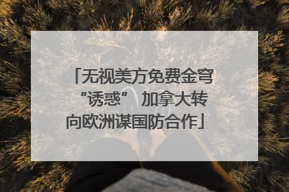 无视美方免费金穹“诱惑” 加拿大转向欧洲谋国防合作