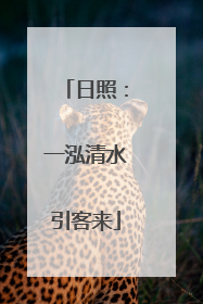 日照：一泓清水引客来