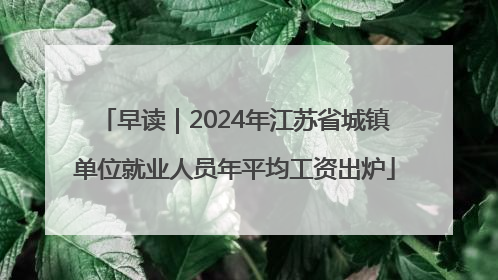 早读｜2024年江苏省城镇单位就业人员年平均工资出炉