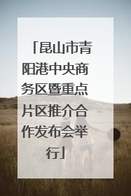 昆山市青阳港中央商务区暨重点片区推介合作发布会举行