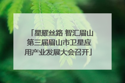 星耀丝路 智汇眉山 第三届眉山市卫星应用产业发展大会召开