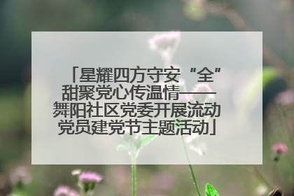 星耀四方守安“全” 甜聚党心传温情——舞阳社区党委开展流动党员建党节主题活动