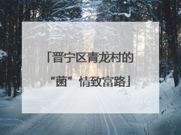晋宁区青龙村的“菌”情致富路