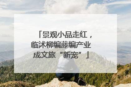 景观小品走红，临沭柳编藤编产业成文旅“新宠”