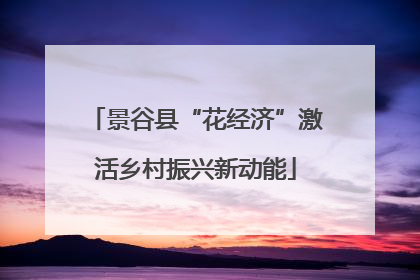 景谷县“花经济”激活乡村振兴新动能