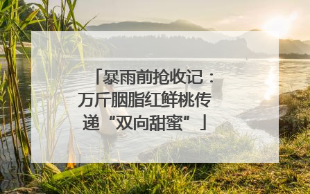 暴雨前抢收记：万斤胭脂红鲜桃传递“双向甜蜜”