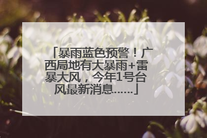 暴雨蓝色预警！广西局地有大暴雨+雷暴大风，今年1号台风最新消息……
