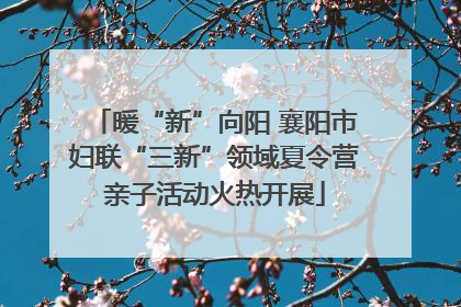 暖“新”向阳 襄阳市妇联“三新”领域夏令营亲子活动火热开展