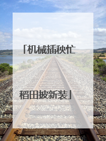 机械插秧忙 稻田披新装
