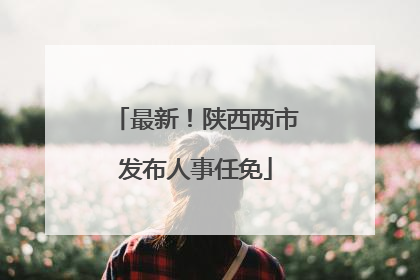 最新！陕西两市发布人事任免