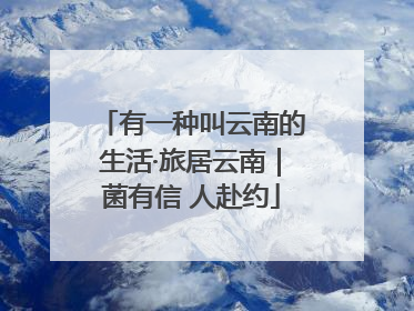 有一种叫云南的生活·旅居云南｜菌有信 人赴约
