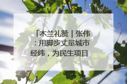 木兰礼赞｜张伟：用脚步丈量城市经纬，为民生项目按下“加速键”