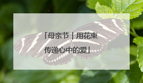 母亲节｜用花束传递心中的爱
