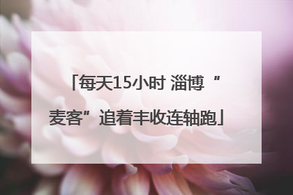 每天15小时 淄博“麦客”追着丰收连轴跑