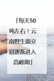 每天50吨左右！云南野生菌交易逐渐进入高峰期