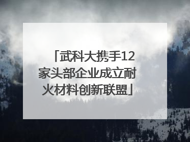 武科大携手12家头部企业成立耐火材料创新联盟