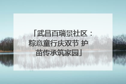 武昌百瑞景社区：粽意童行庆双节 护苗传承筑家园