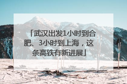 武汉出发1小时到合肥、3小时到上海，这条高铁有新进展