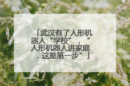 武汉有了人形机器人“学校”，“人形机器人进家庭，这是第一步”