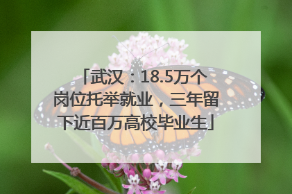 武汉：18.5万个岗位托举就业，三年留下近百万高校毕业生