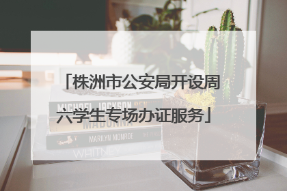株洲市公安局开设周六学生专场办证服务