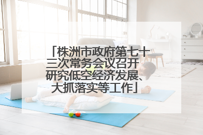株洲市政府第七十三次常务会议召开 研究低空经济发展、大抓落实等工作