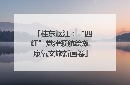 桂东沤江：“四红”党建领航绘就康氧文旅新画卷