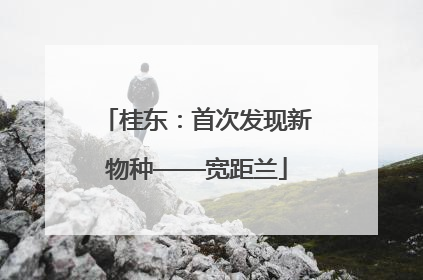 桂东：首次发现新物种——宽距兰