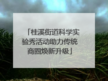 桂溪街道科学实验秀活动助力传统商圈焕新升级