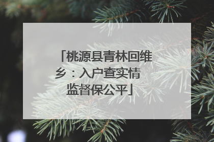 桃源县青林回维乡：入户查实情 监督保公平