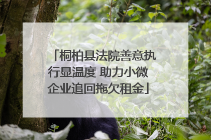 桐柏县法院善意执行显温度 助力小微企业追回拖欠租金