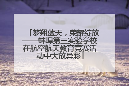 梦翔蓝天，荣耀绽放——蚌埠第三实验学校在航空航天教育竞赛活动中大放异彩