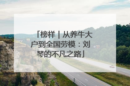 榜样｜从养牛大户到全国劳模：刘琴的不凡之路