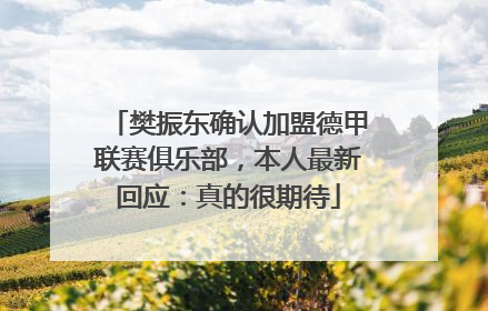 樊振东确认加盟德甲联赛俱乐部，本人最新回应：真的很期待