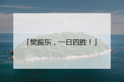 樊振东，一日四胜！