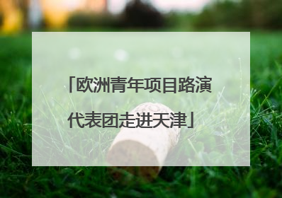 欧洲青年项目路演代表团走进天津
