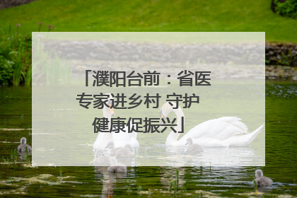 濮阳台前：省医专家进乡村 守护健康促振兴