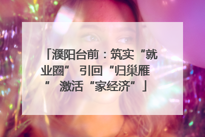 濮阳台前：筑实“就业圈” 引回“归巢雁” 激活“家经济”