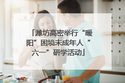 潍坊高密举行“暖阳”困境未成年人“六一”研学活动