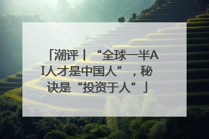 潮评丨“全球一半AI人才是中国人”，秘诀是“投资于人”